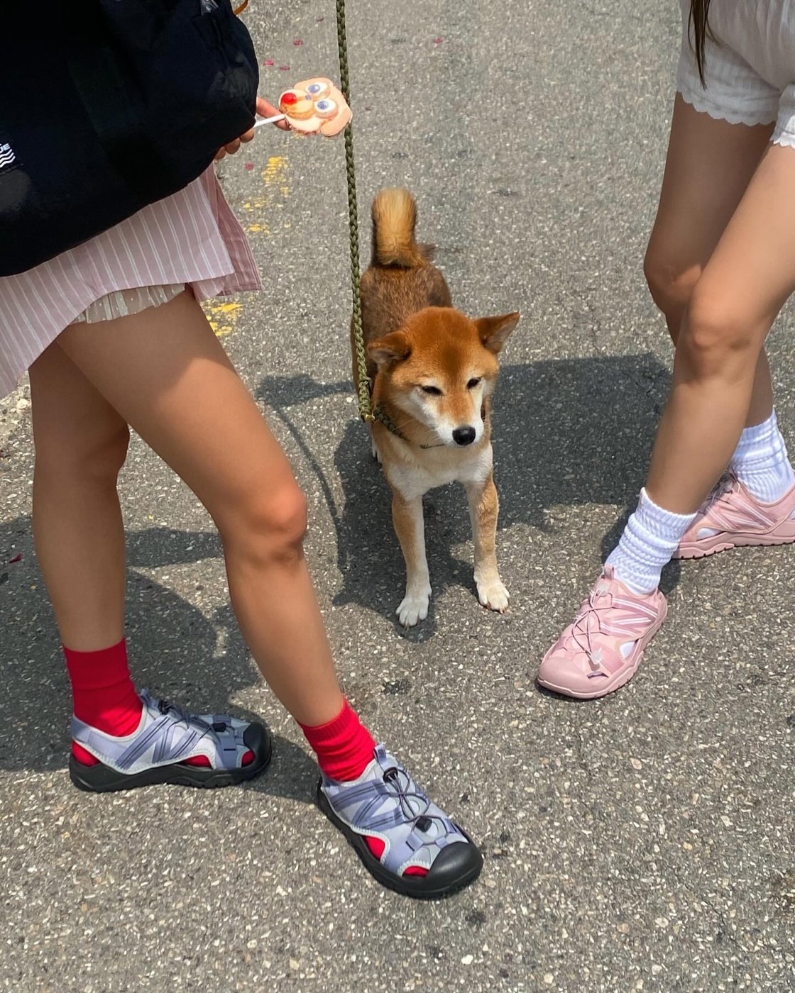 (주)피코브 이미지