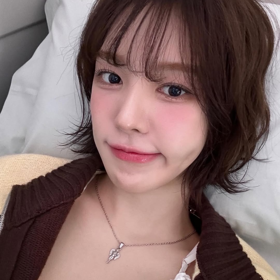 D.K 코리아 이미지