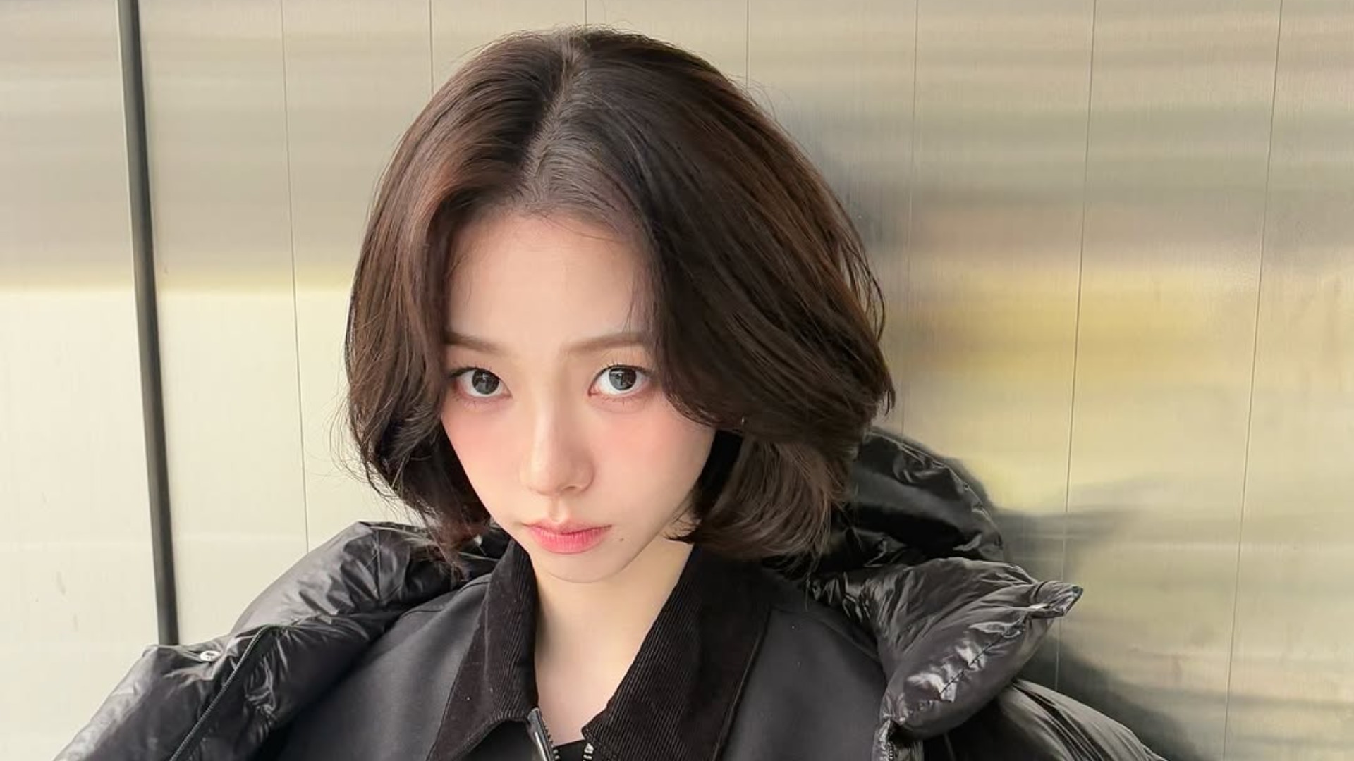 제이브라운J앤J 이미지