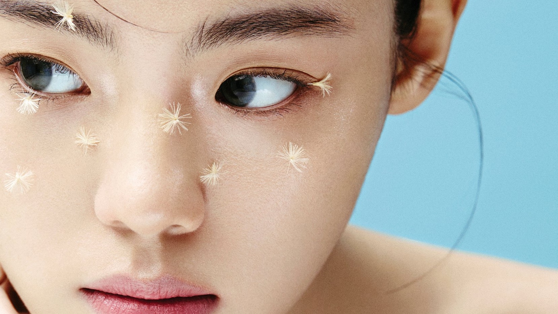 올오브뷰티(All Of Beauty) 이미지